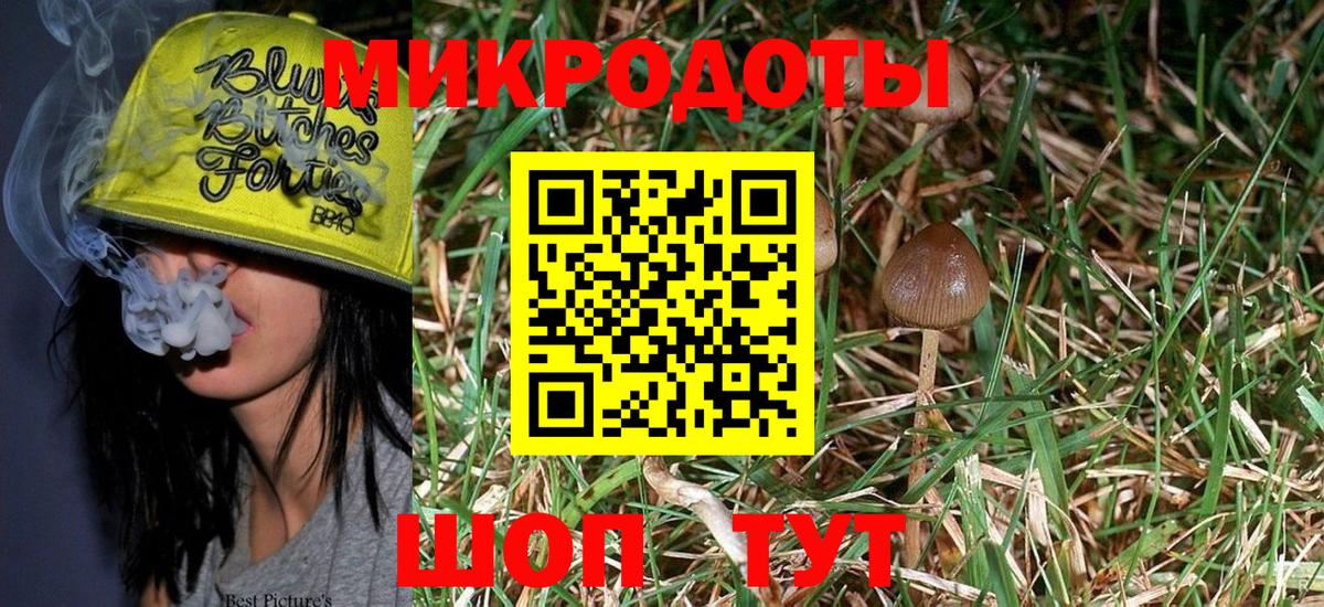 закладки  Вход с VPN  Унеча  Псилоцибиновые грибы Psilocybe 