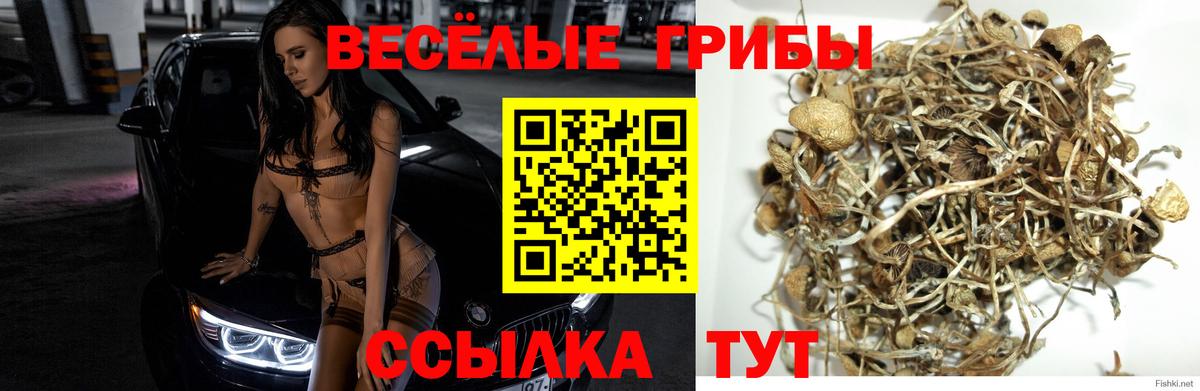 Галлюциногенные грибы Magic Shrooms Унеча